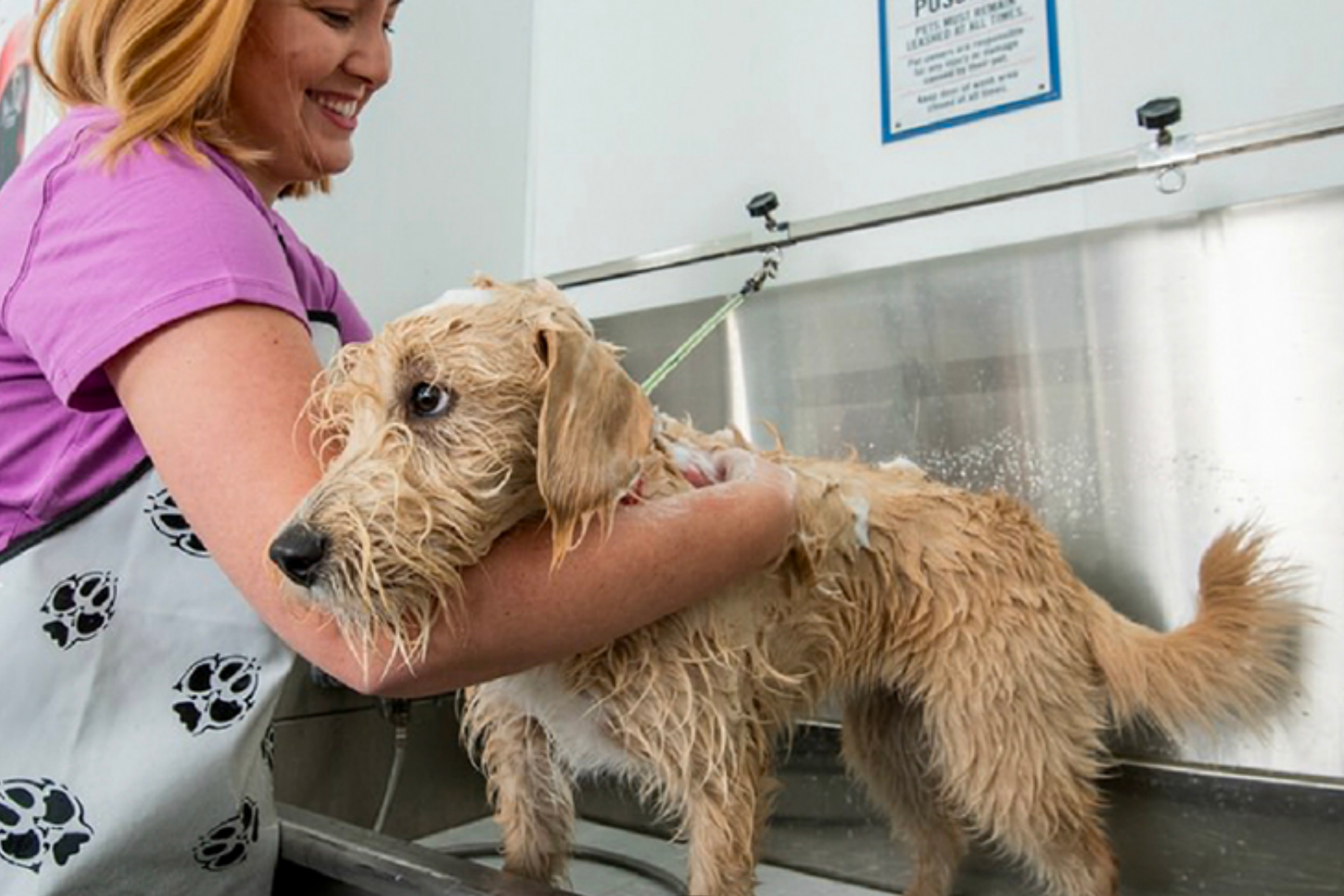 Dog wash tractor clearance supply