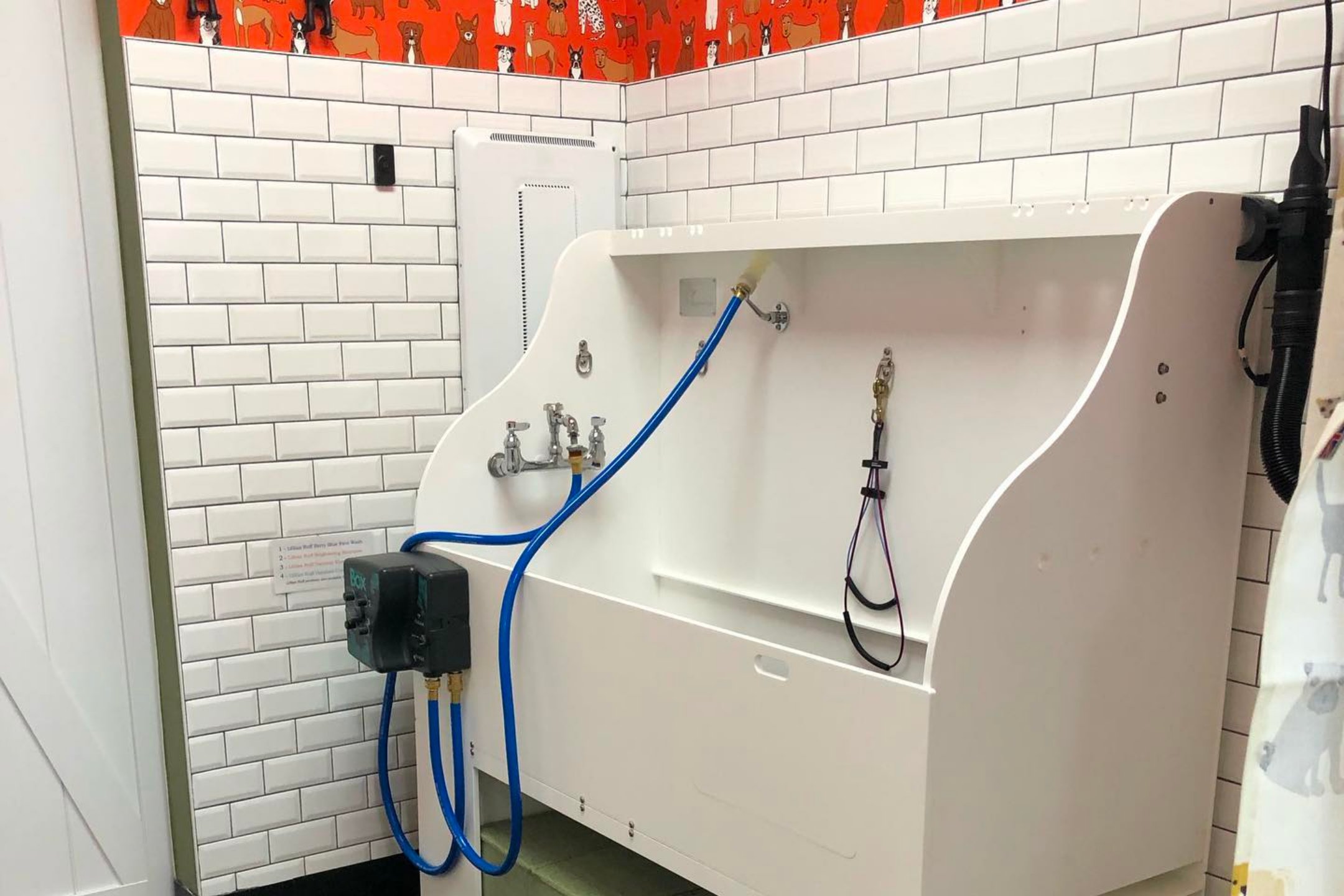 Earthwise Pet Simpsonville's SelfWash The Perfect Solution for Pet O