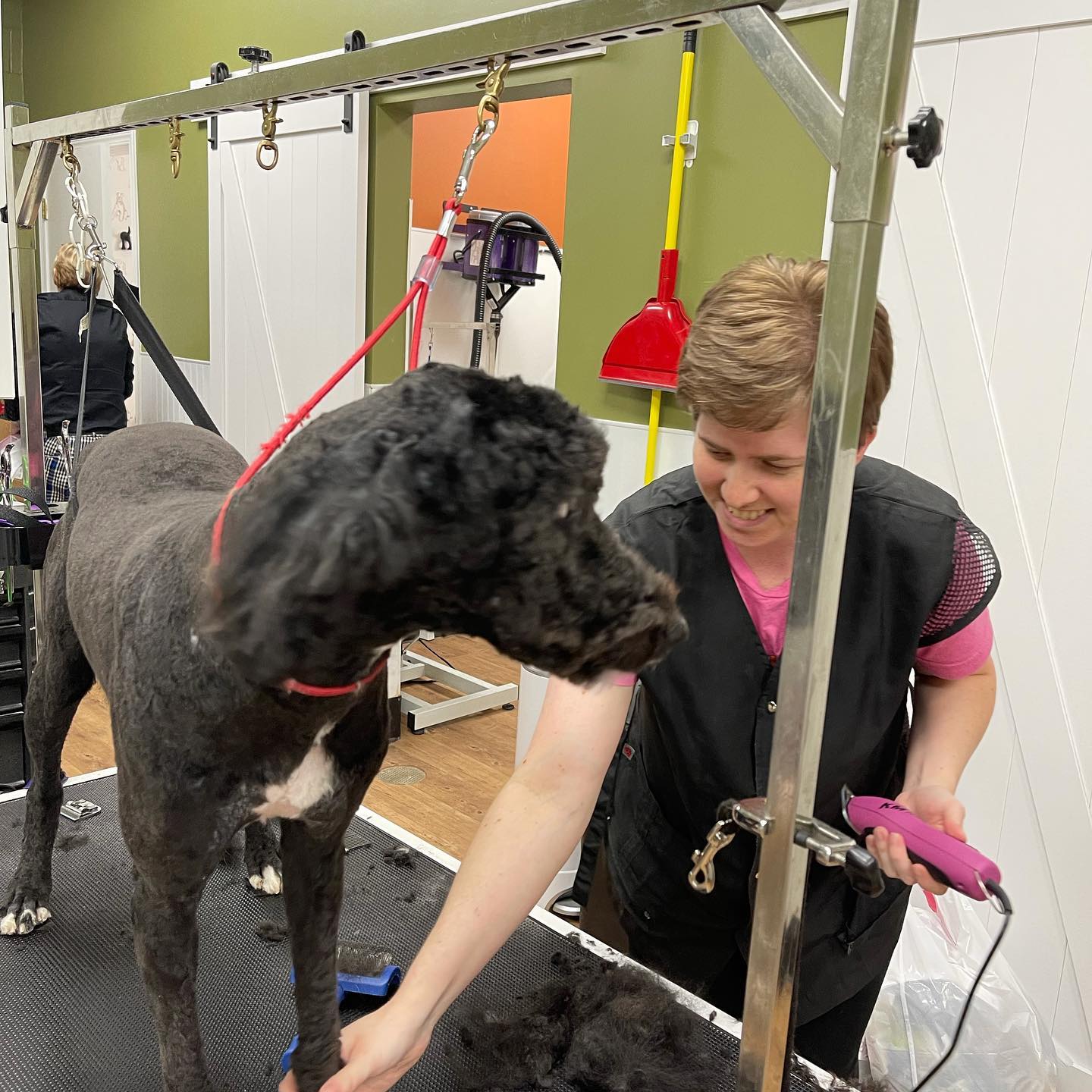 Earthwise Pet Simpsonville Grooming Services Keep Your Furry Friend L Good Dogs Of Greenville