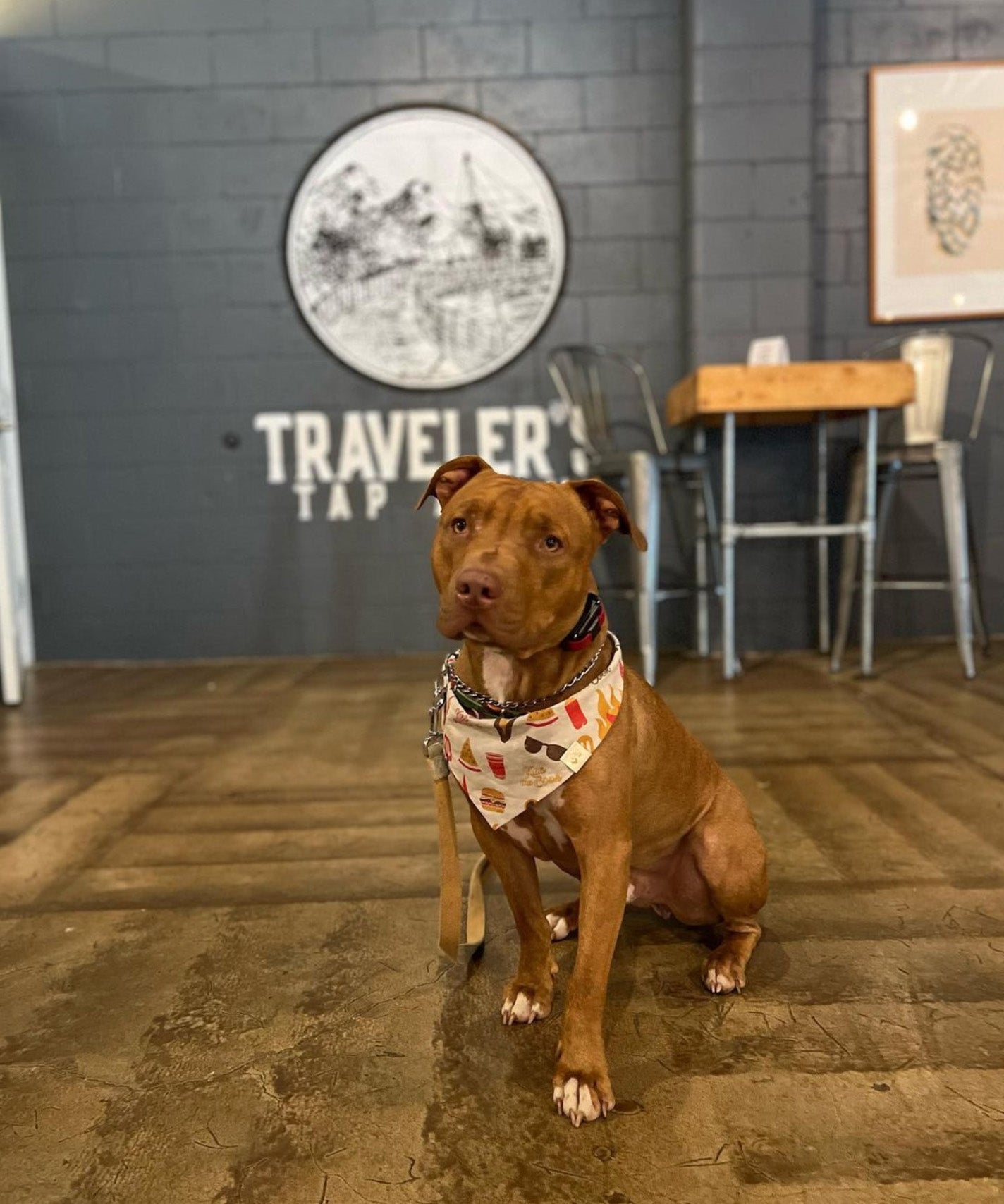 Traveler's Taproom DogFriendly Brewery in Greenville, South Carolina