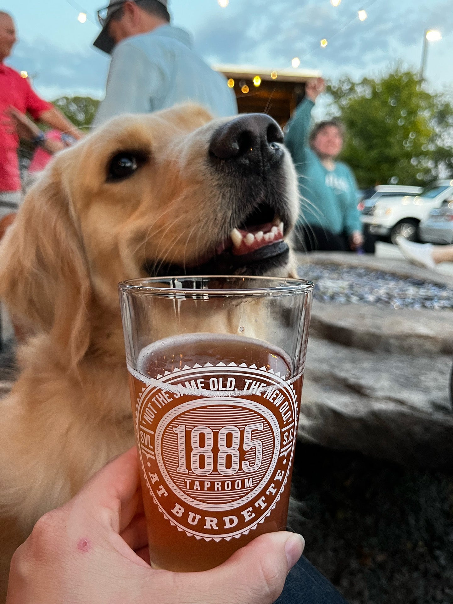 1885 Taproom DogFriendly Brewery in Simpsonville, South Carolina