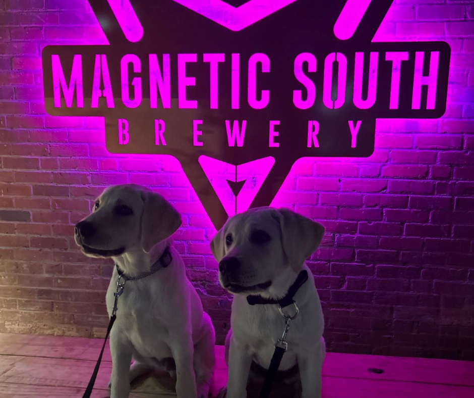 South Brewery FamilyFriendly Brewery with a Fun Taproom