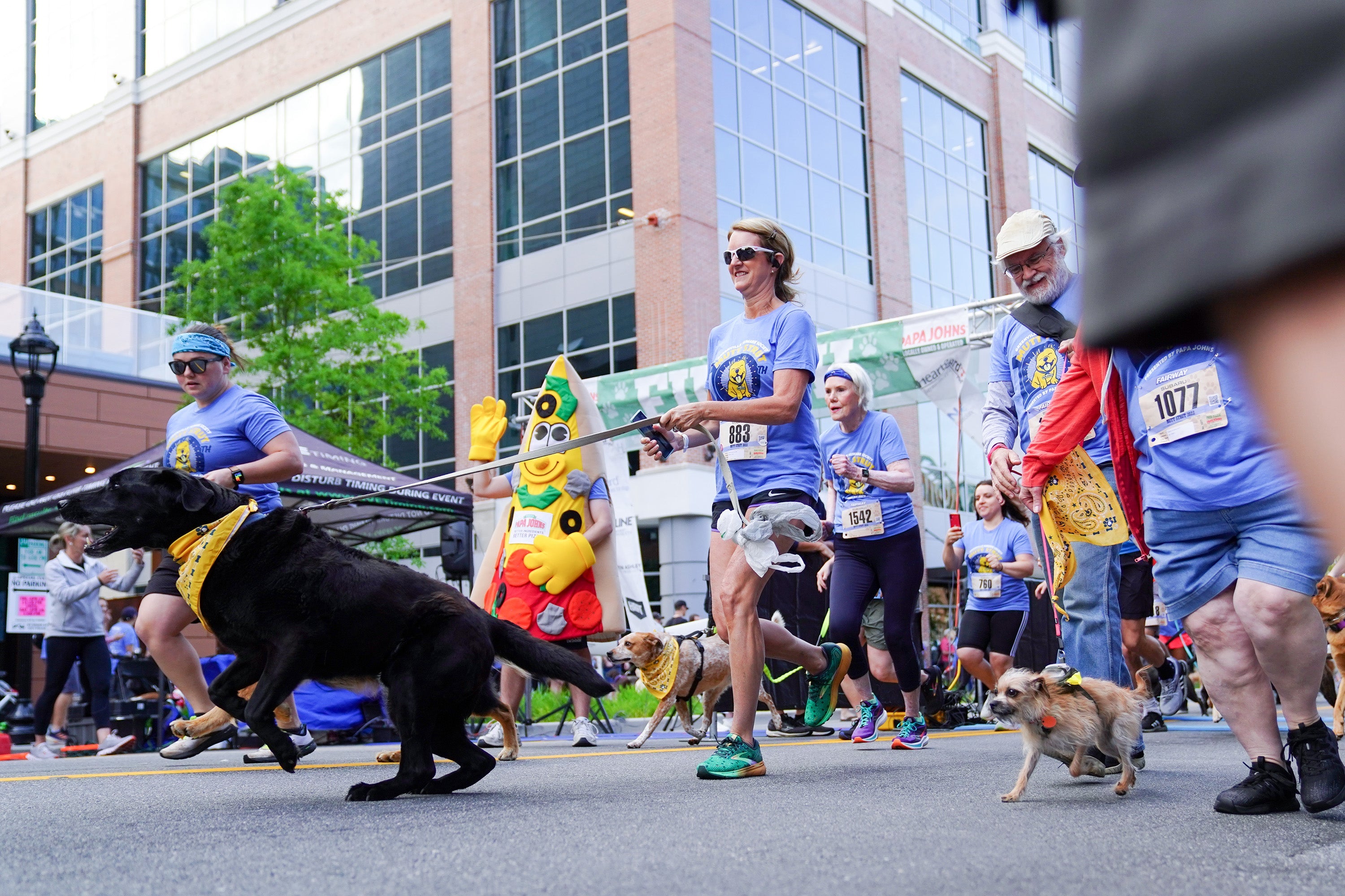 The Mutt Strut 2023 Strut Your Mutt and Support Greenville Humane