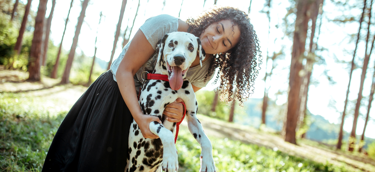 How to Prepare Your Puppy for the Groomer  Woofie's Pet Sitters, Dog  Walkers & Mobile Pet Spa