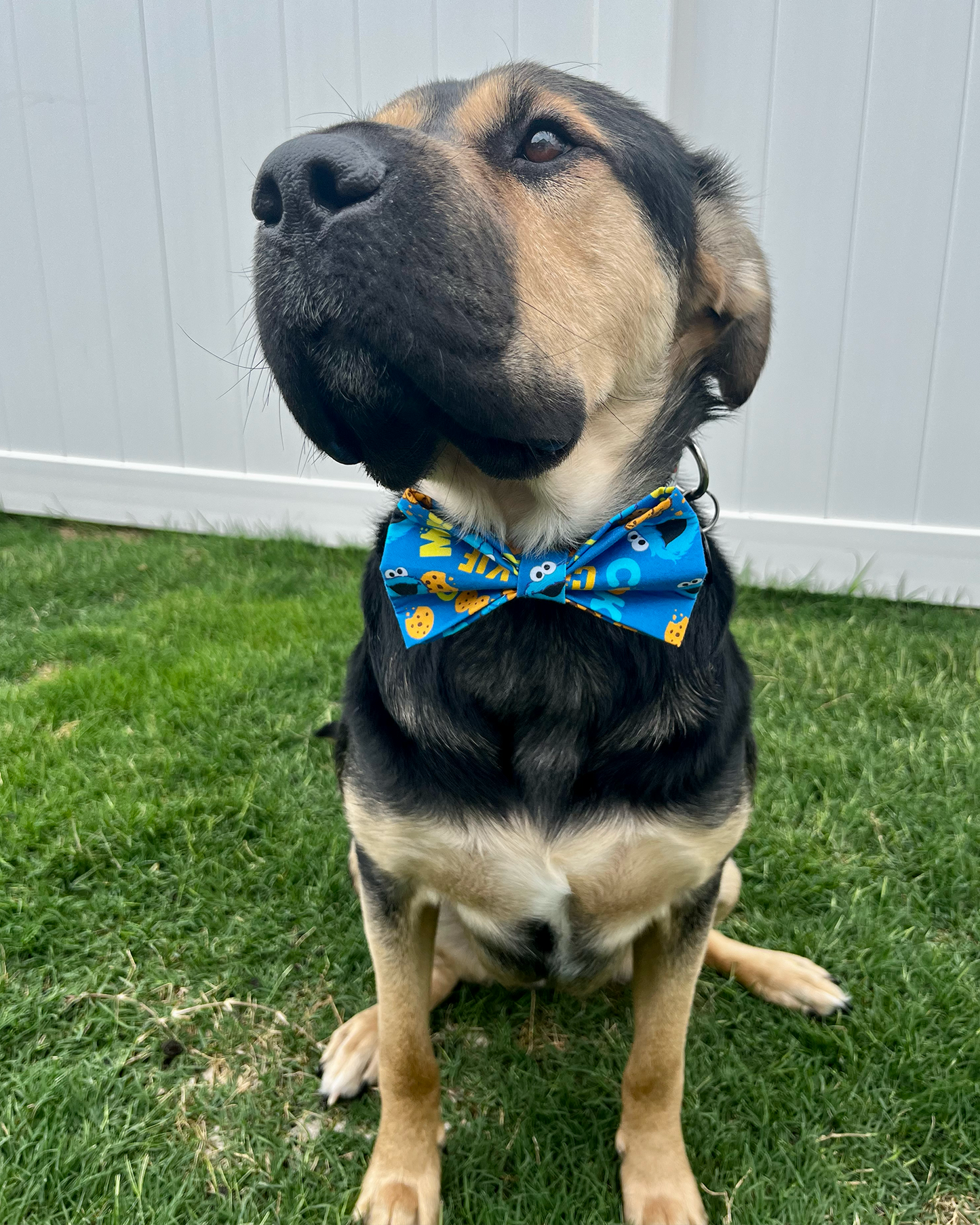 Cookie Monster Bow Tie