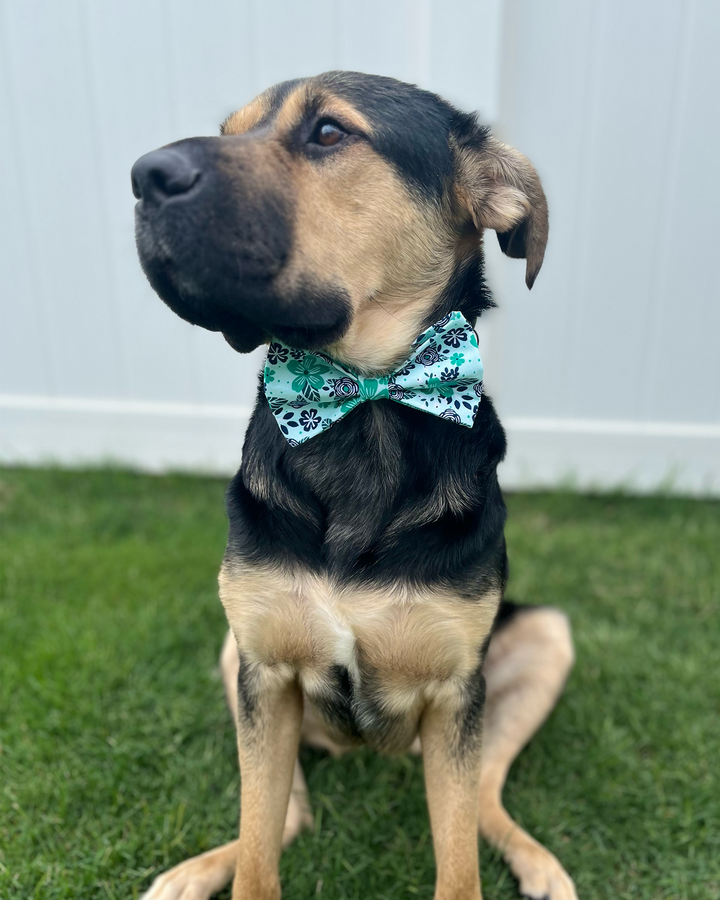 Blue Hibiscus Bow Tie