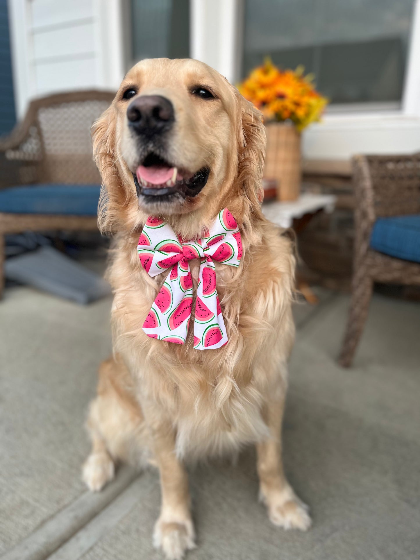Sweet Like Summer Watermelon Sailor Bow