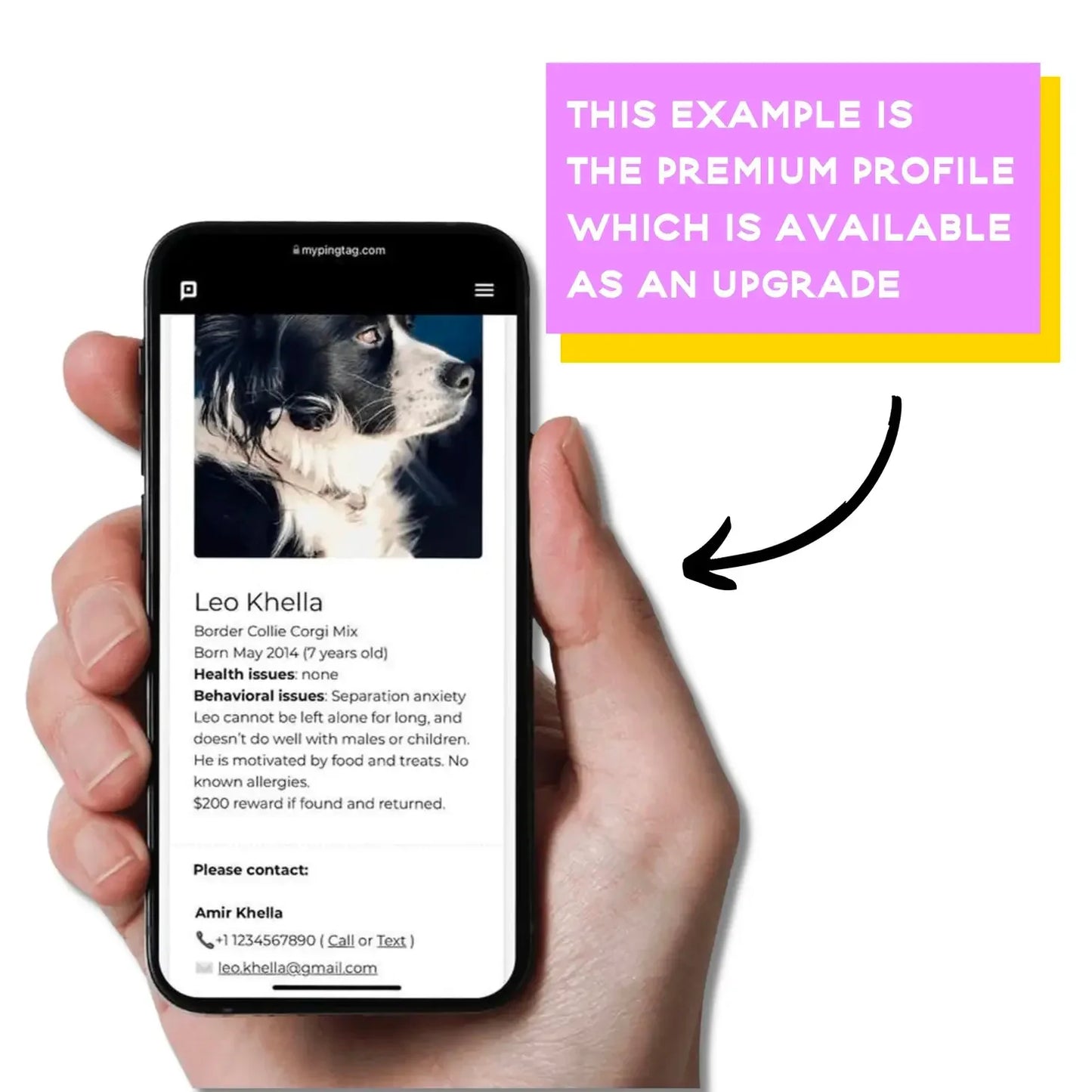 Fuck Around & Find Out - QR Code ID Tag