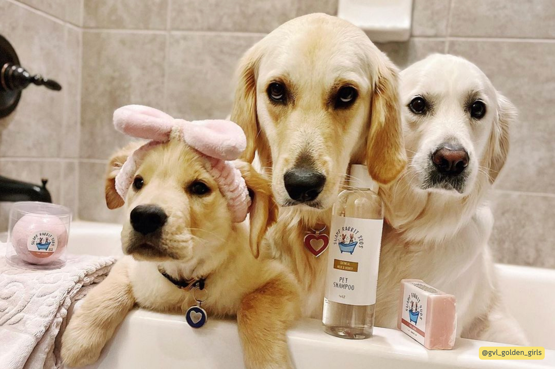Swamp Rabbit Suds: Pamper Your Pooch with Natural and Nourishing Pet Shampoo