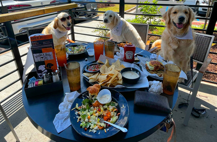 are dogs allowed in restaurants in south carolina