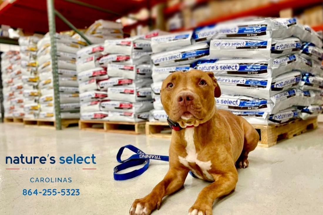 Nature s Select of the Carolinas Your All Natural Pet Food Solution Good Dogs Of Greenville