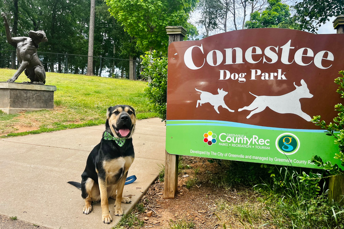 Conestee Dog Park: Let Your Dog Zoomie Off-Leash