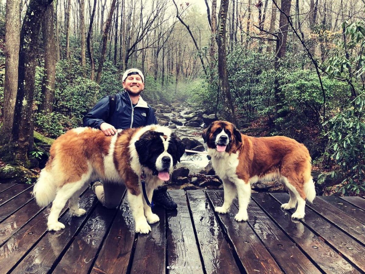 Discover 7 of Greenville s Scenic Trails with Your Pup Good Dogs