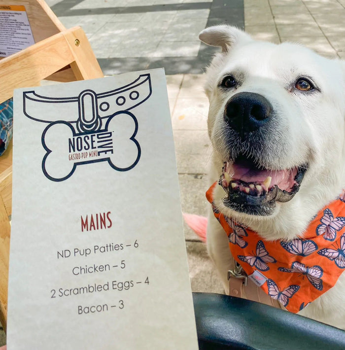 Dog Friendly Restaurants In Greenville