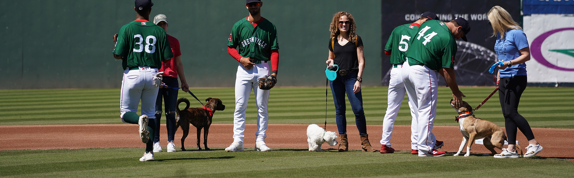 Bark in the Park 2024 Join the Fun with Your Pup at the DogFriendly